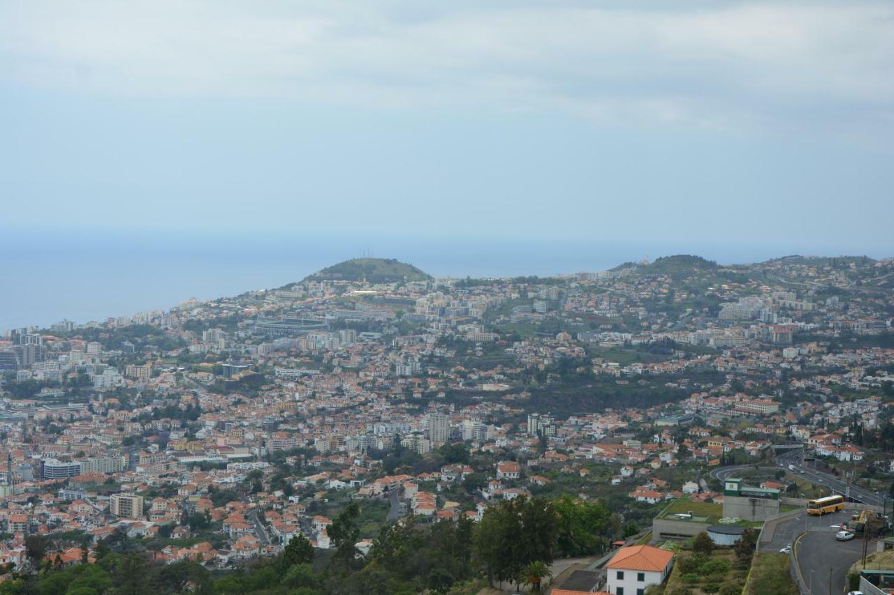 Appartement 40m² 1 Slaapkamer, 1 Privé Badkamer In Madeira *
